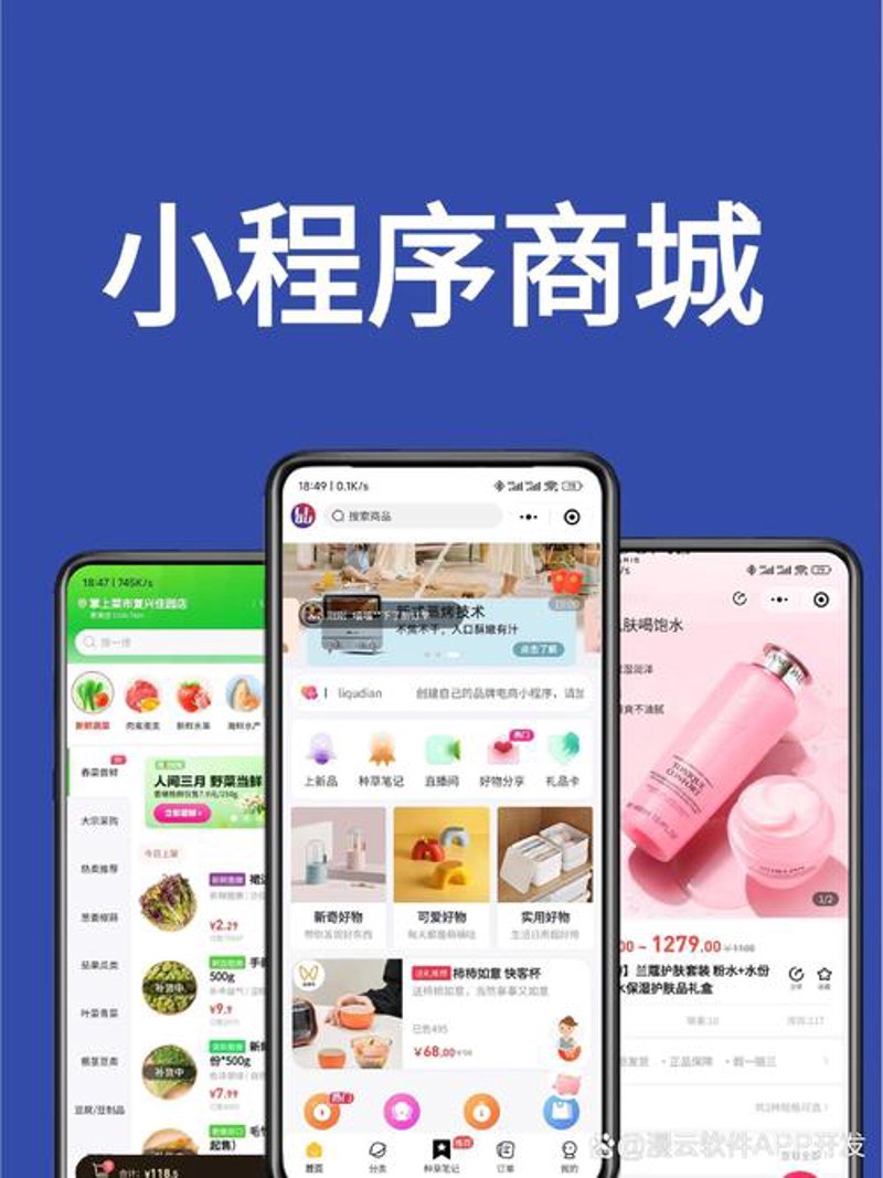 小程序开发：构建未来商业世界的入口